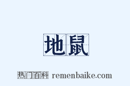 地鼠是什么意思的图片